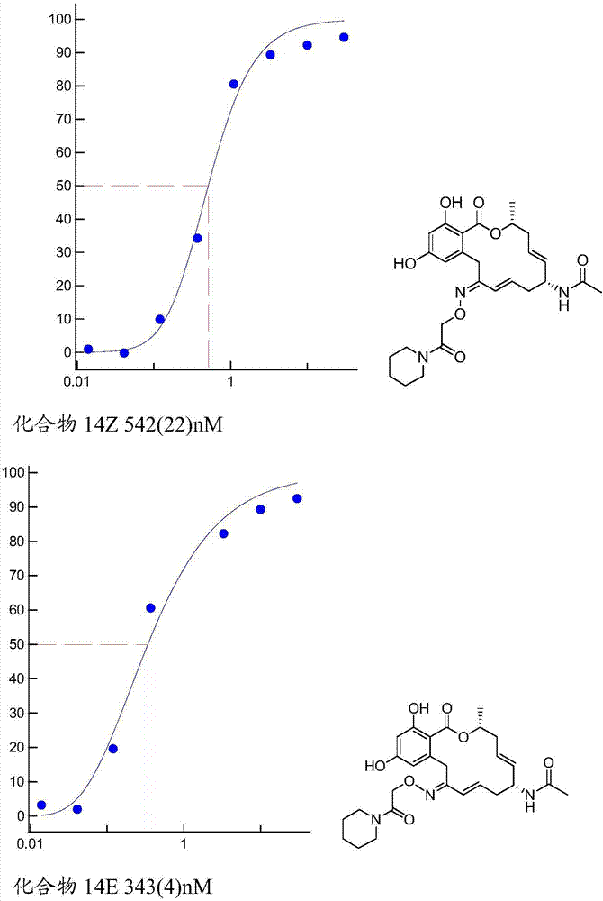 Pochoxime conjugates useful for the treatment of HSP90 related pathologies