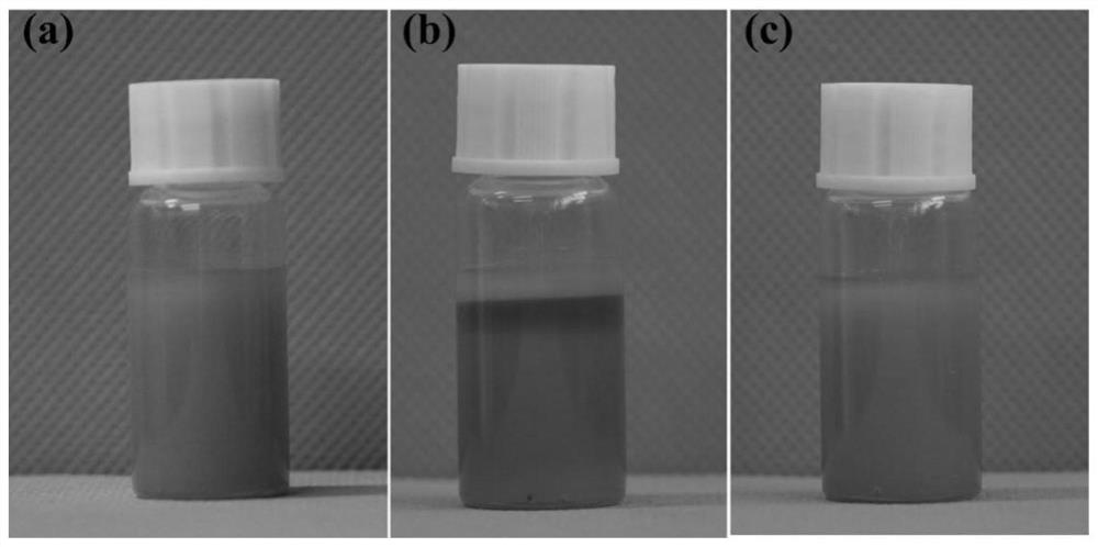 An oil-containing self-lubricating material and its application