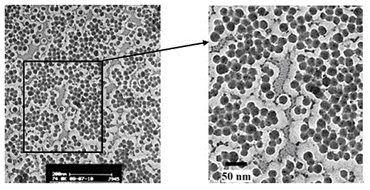 Preparation method of antifogging and antireflection film coating liquid