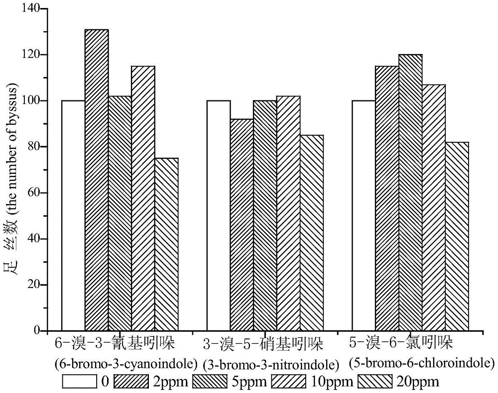 Application of Halogenated Indoles and Their Derivatives as Marine Antifouling Agents