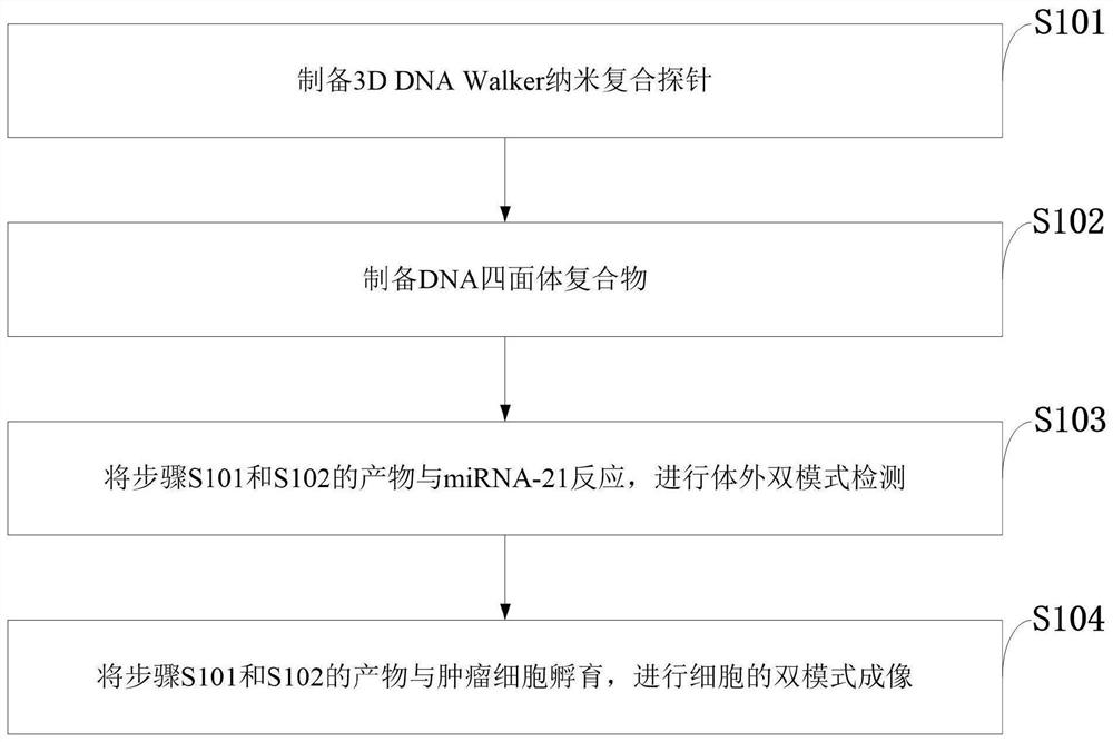 Tumor cell marker miRNA-21 and tumor cell detection system