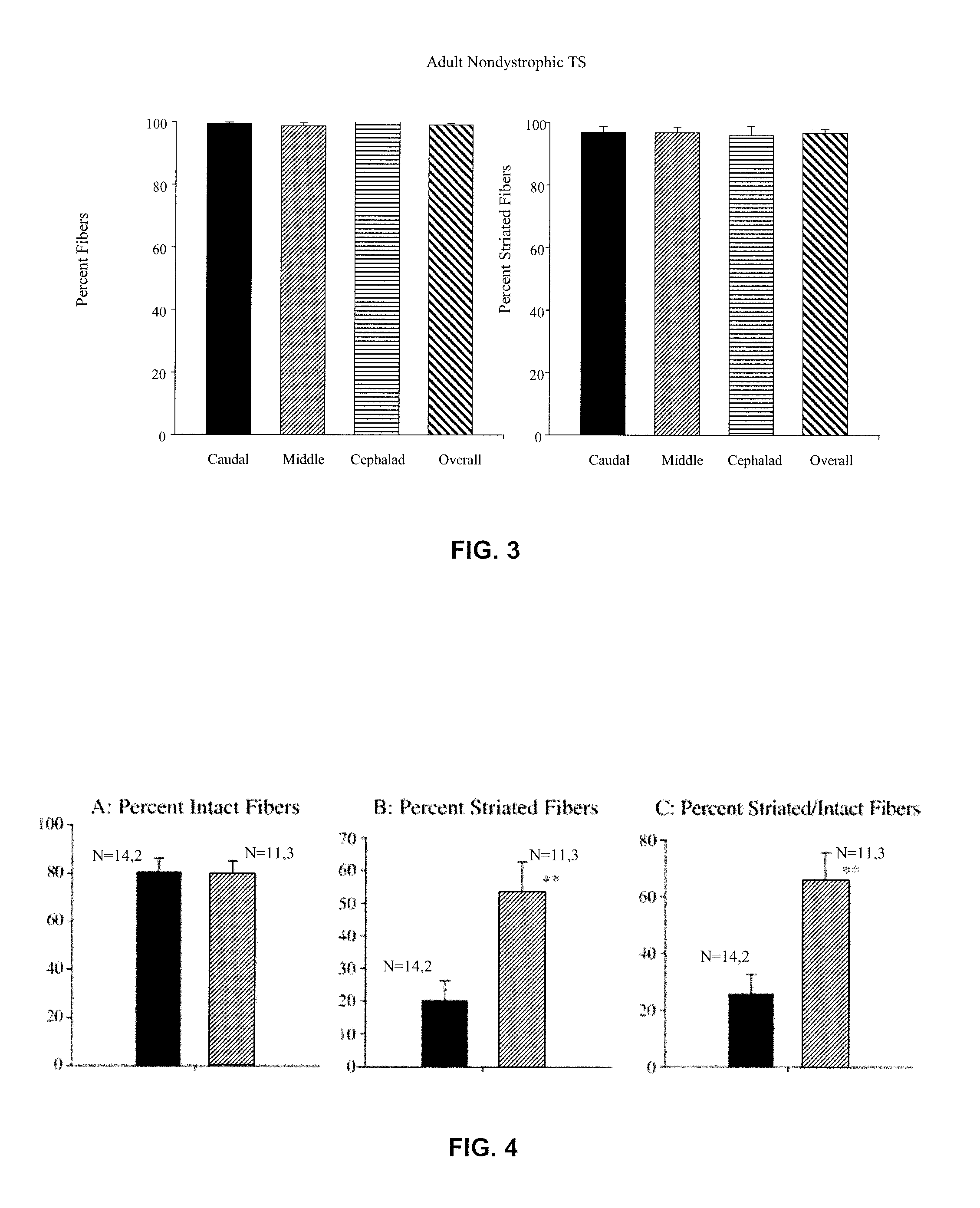 Compositions And Methods For The Treatment Of Muscular Dystrophy