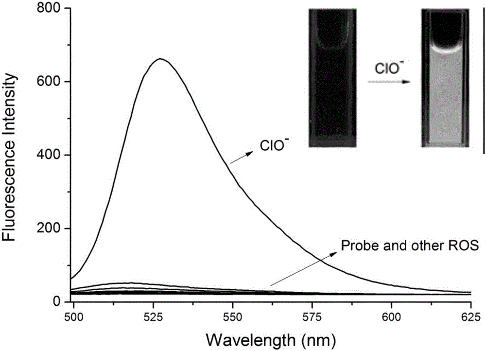 Hypochlorite ion fluorescent probe, preparation method and application thereof