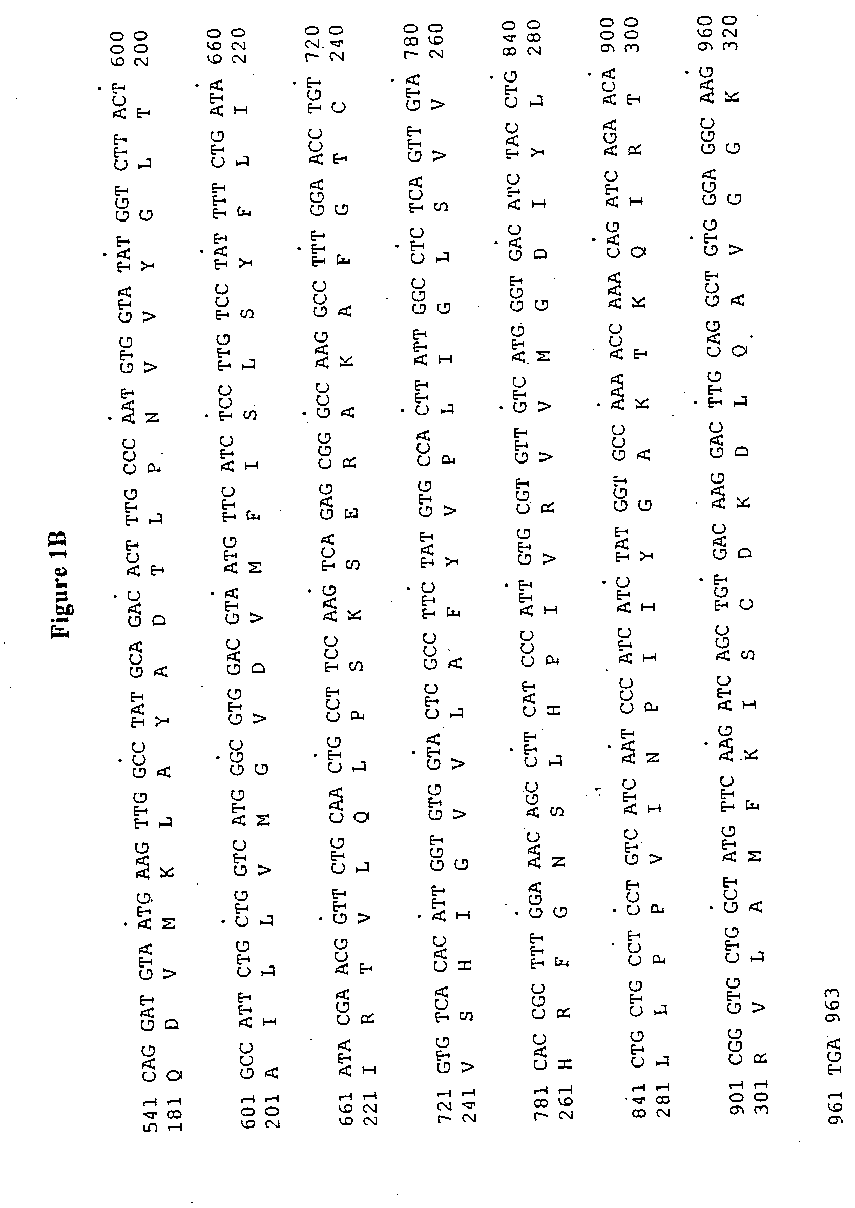 Human prostate specific G-protein receptor HPRAJ70