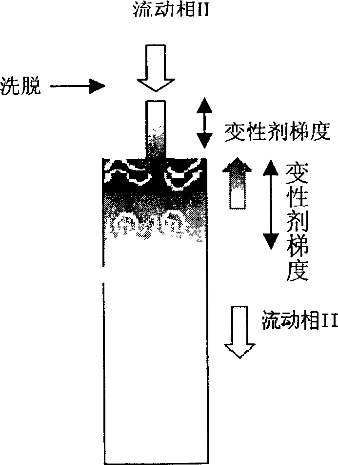 Method for renaturation of protein