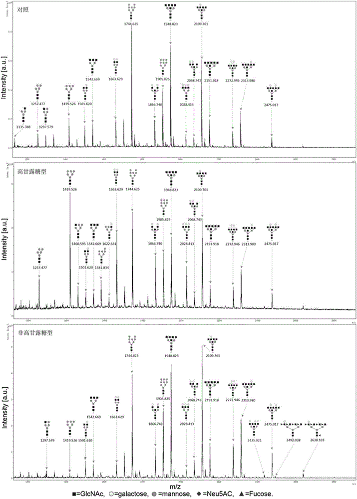 Method for separating and identifying glycoprotein N-sugar chain structure