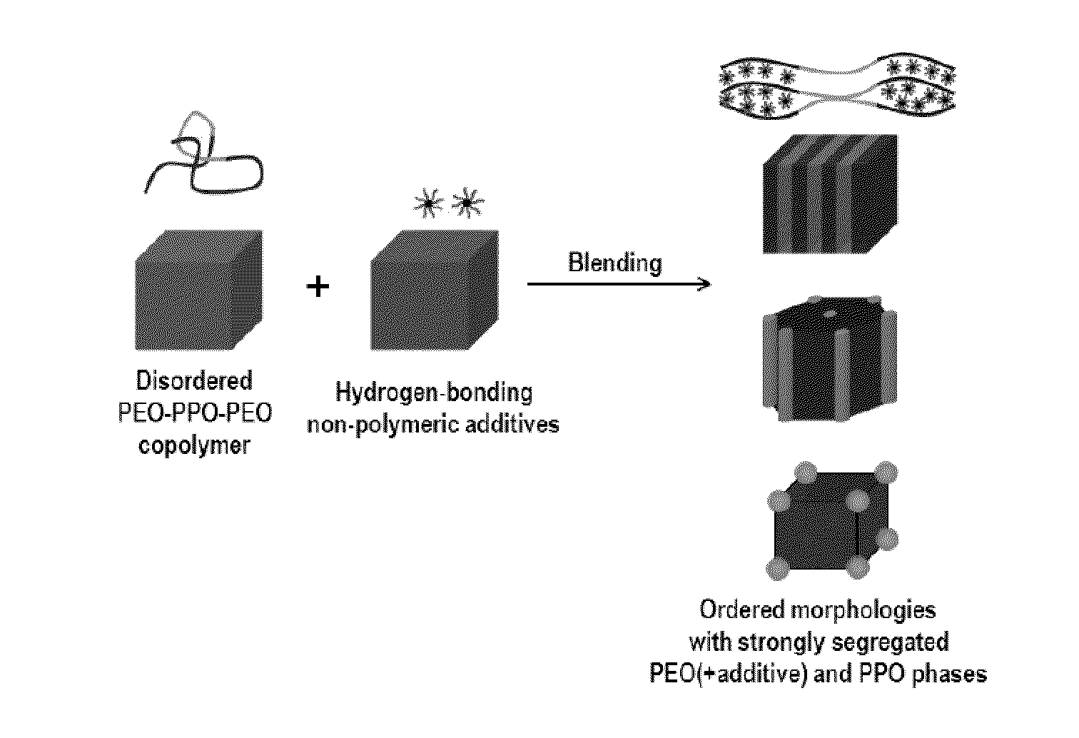 Induced polymer assemblies