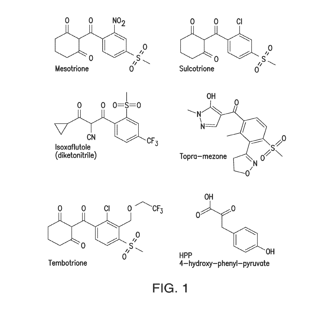 Compositions and methods comprising sequences having hydroxyphenylpyruvate dioxygenase (HPPD) activity