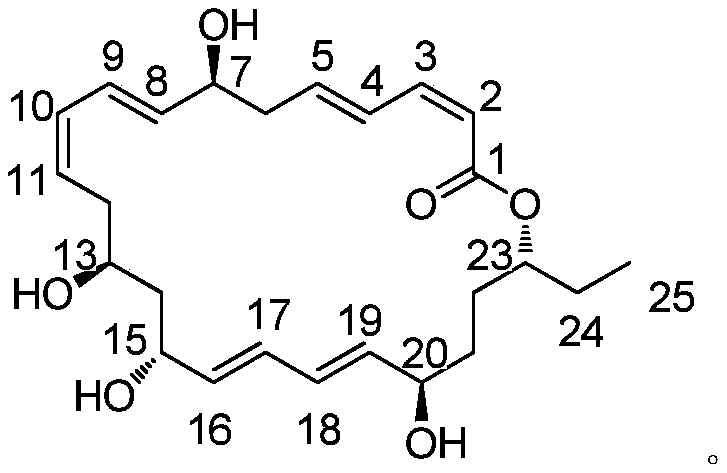 Macrolide derivatives and their preparation methods and applications