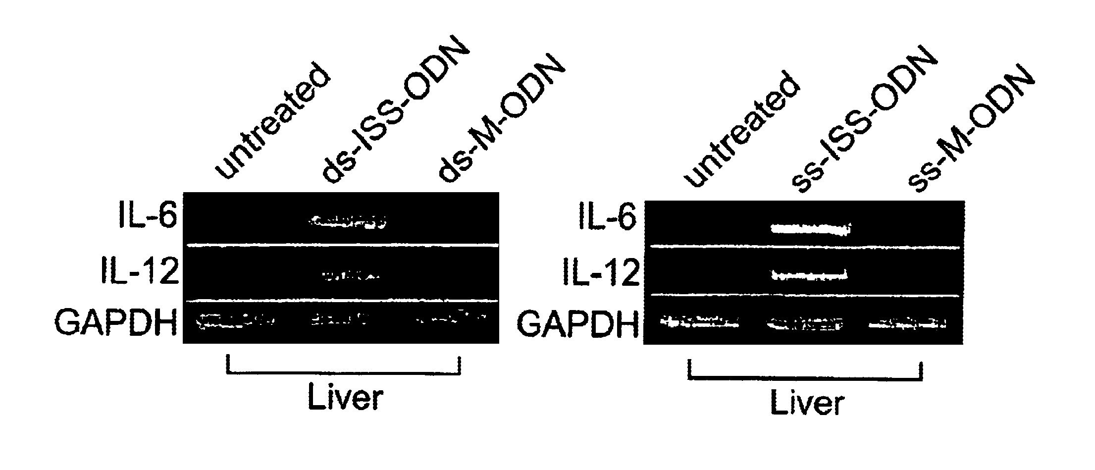 Agents that modulate DNA-PK activity and methods of use thereof