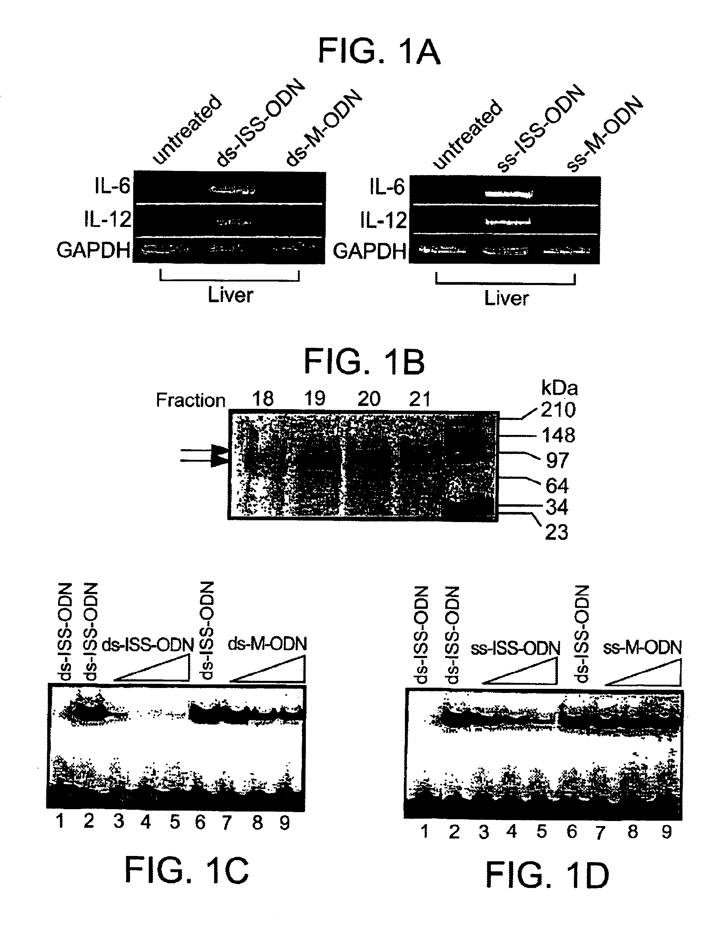 Agents that modulate DNA-PK activity and methods of use thereof