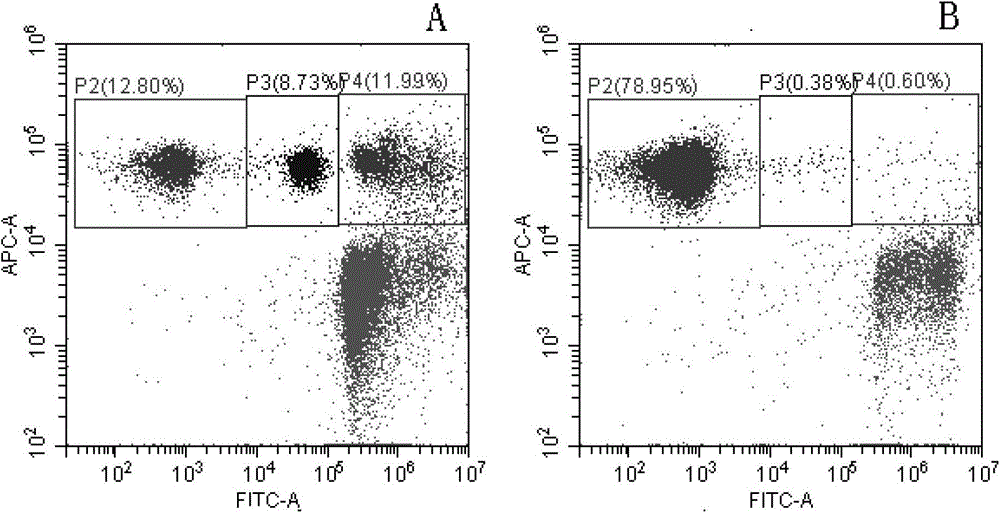 Method for analyzing and evaluating erythropoiesis function of mouse marrow through flow cytometry