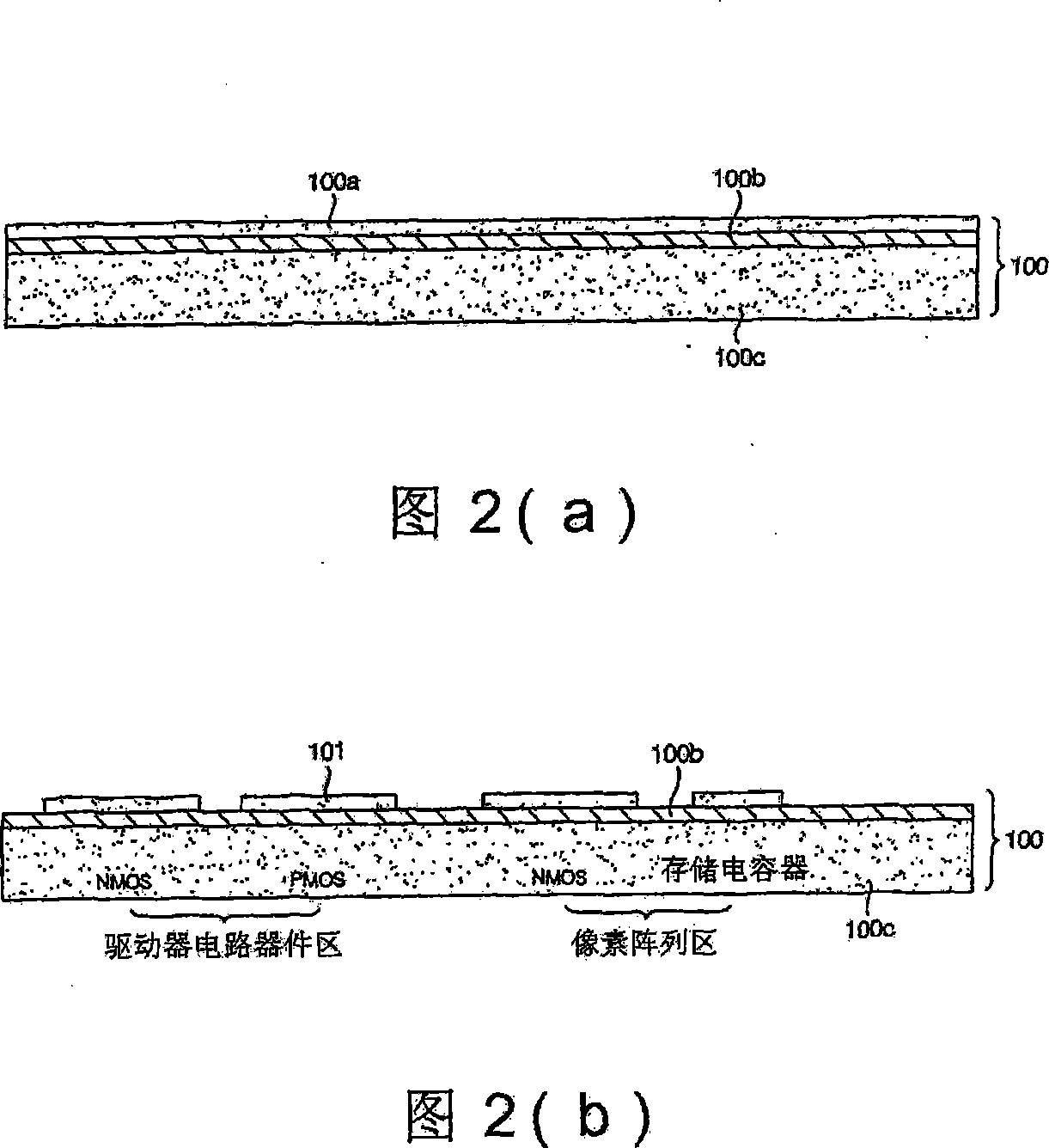 Flexible electro-optical apparatus and method for manufacturing the same