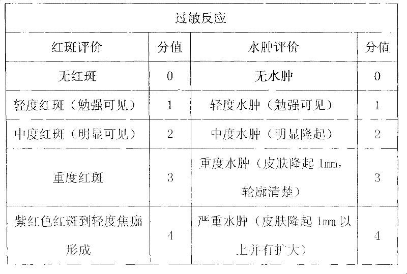 Spot removing patch and preparation method thereof