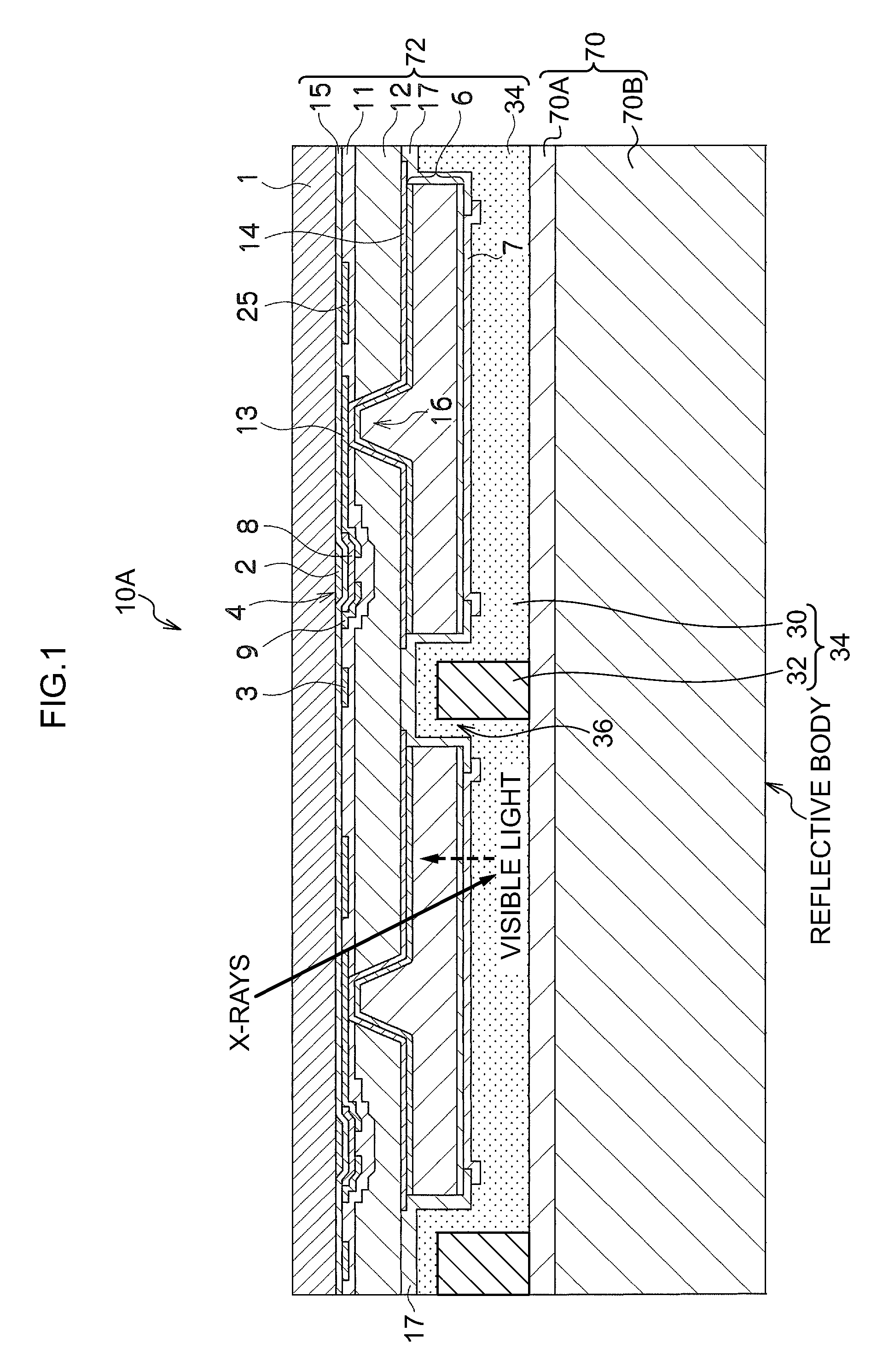 Radiation detector, radiation detector fabrication method, and radiographic image capture device