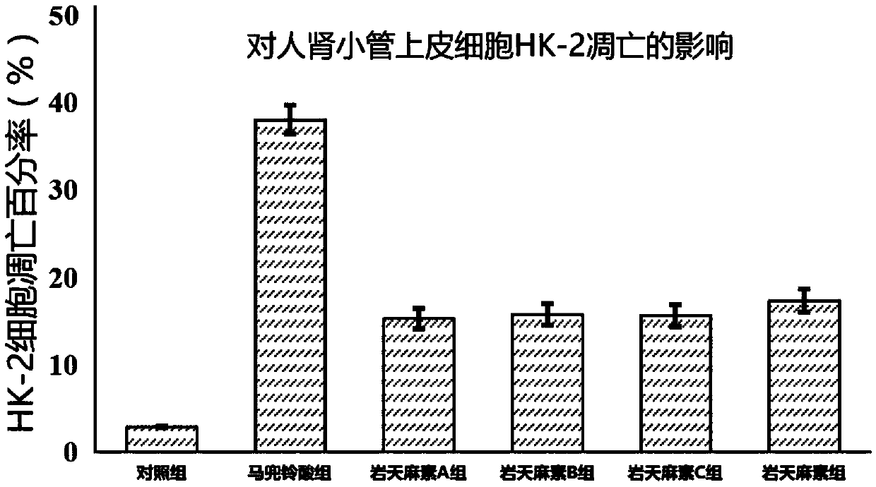 Applications of benzopyran lactone in attenuating toxicity of aristolochic acid and traditional Chinese medicines containing aristolochic acid