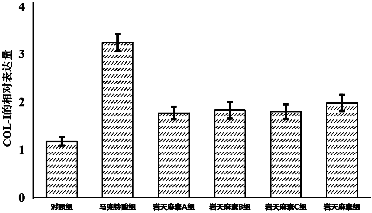 Applications of benzopyran lactone in attenuating toxicity of aristolochic acid and traditional Chinese medicines containing aristolochic acid