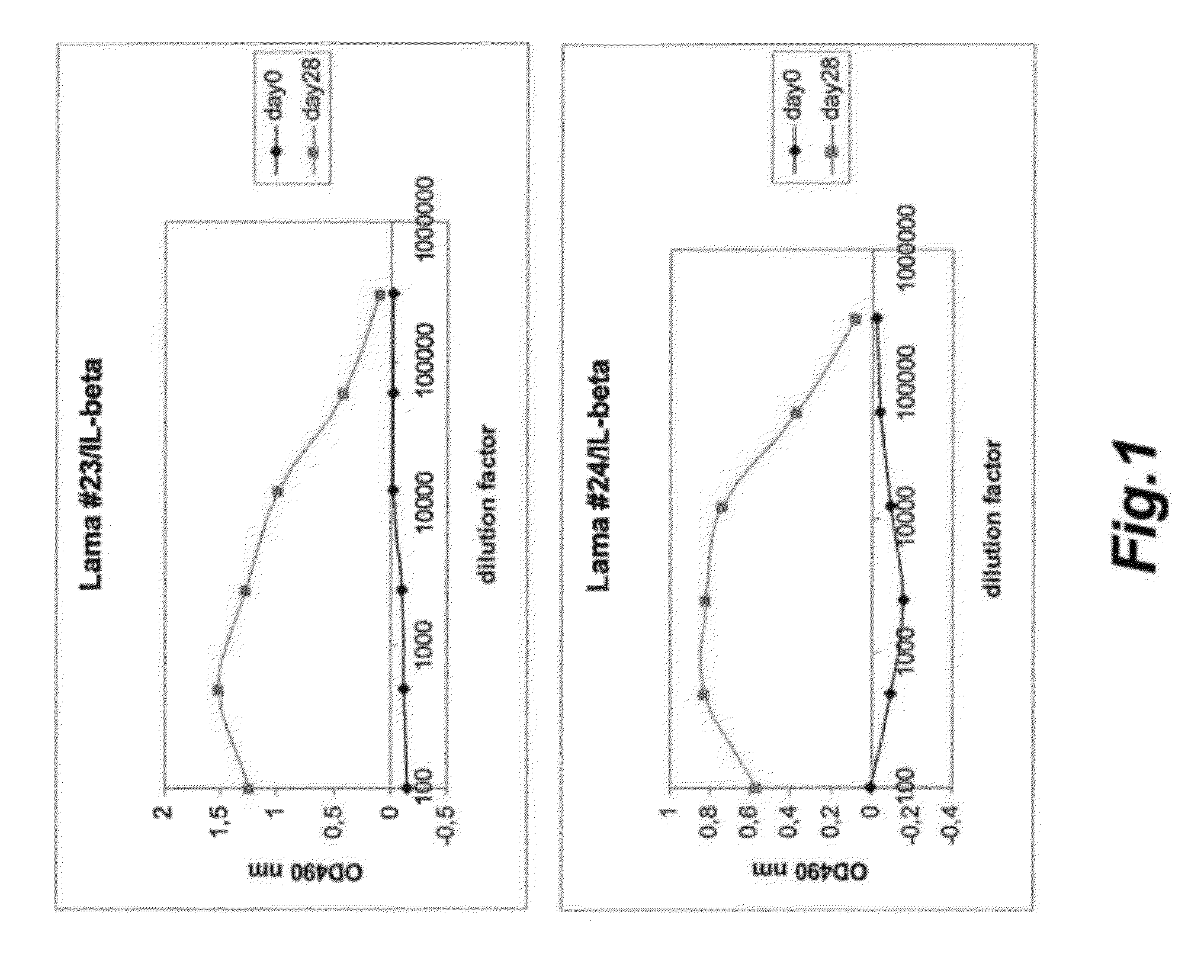 Antigen binding polypeptides