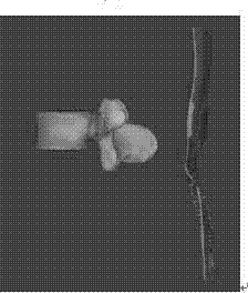 3D printing percutaneous vertebral pedicle guide plate, preparation method of 3D printing percutaneous vertebral pedicle guide plate, and using method of 3D printing percutaneous vertebral pedicle guide plate