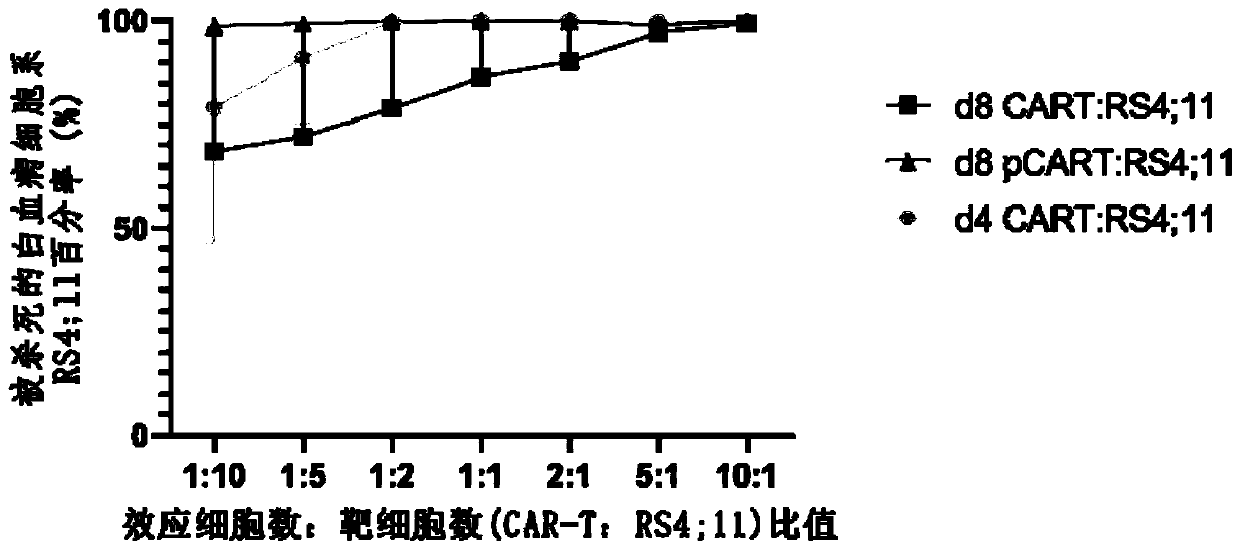 CAR-T cell, preparation method thereof and medicine