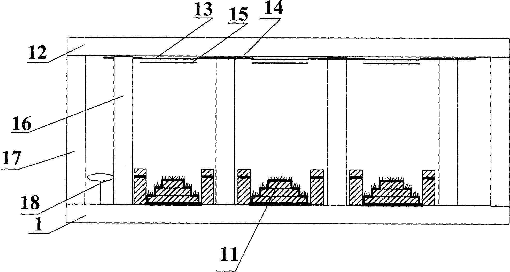 Coaxial multi-loop column type cathode array structural panel display device and its production technique
