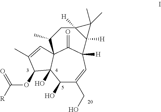 Ingenol-3-acylates iii and ingenol-3-carbamates