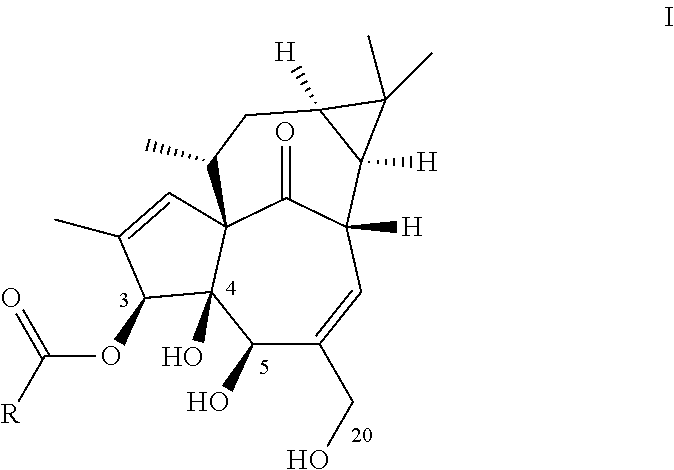 Ingenol-3-acylates iii and ingenol-3-carbamates