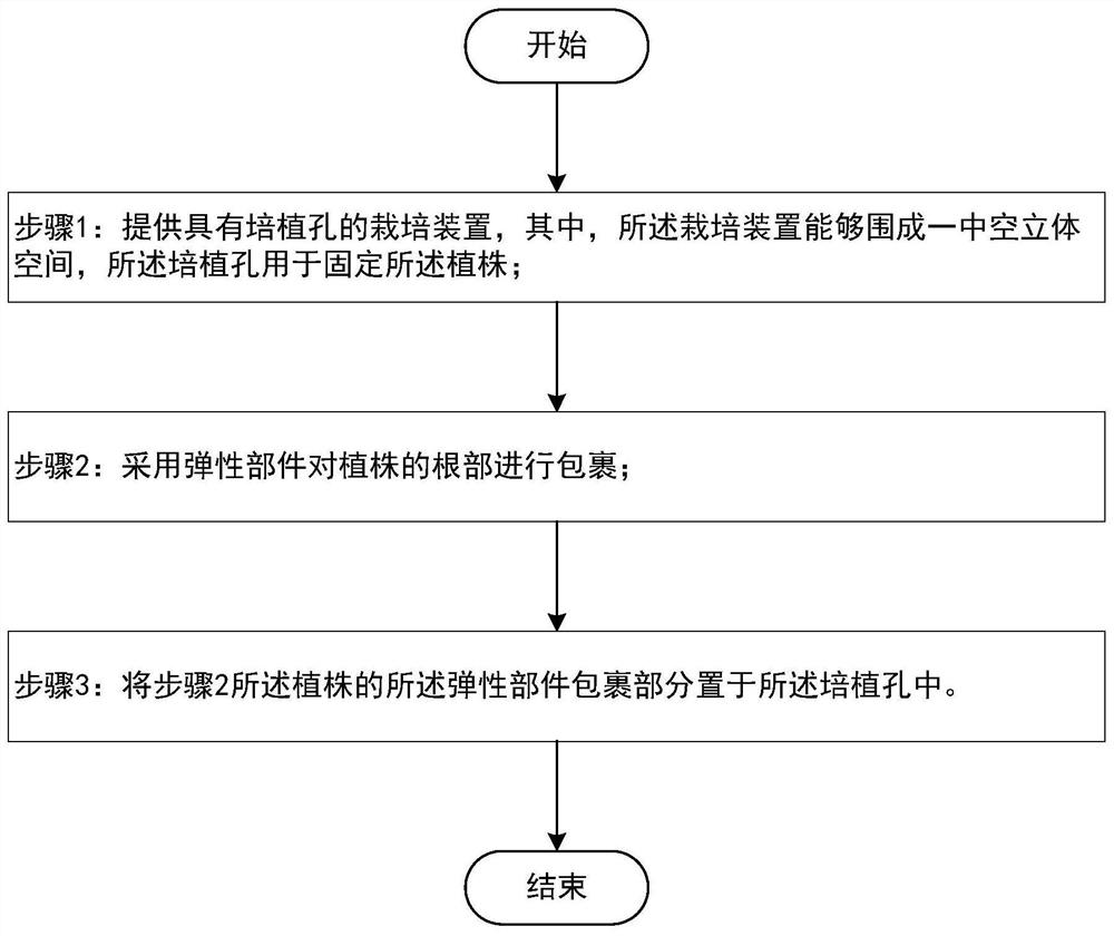 Method for fixing plant for aeroponic cultivation