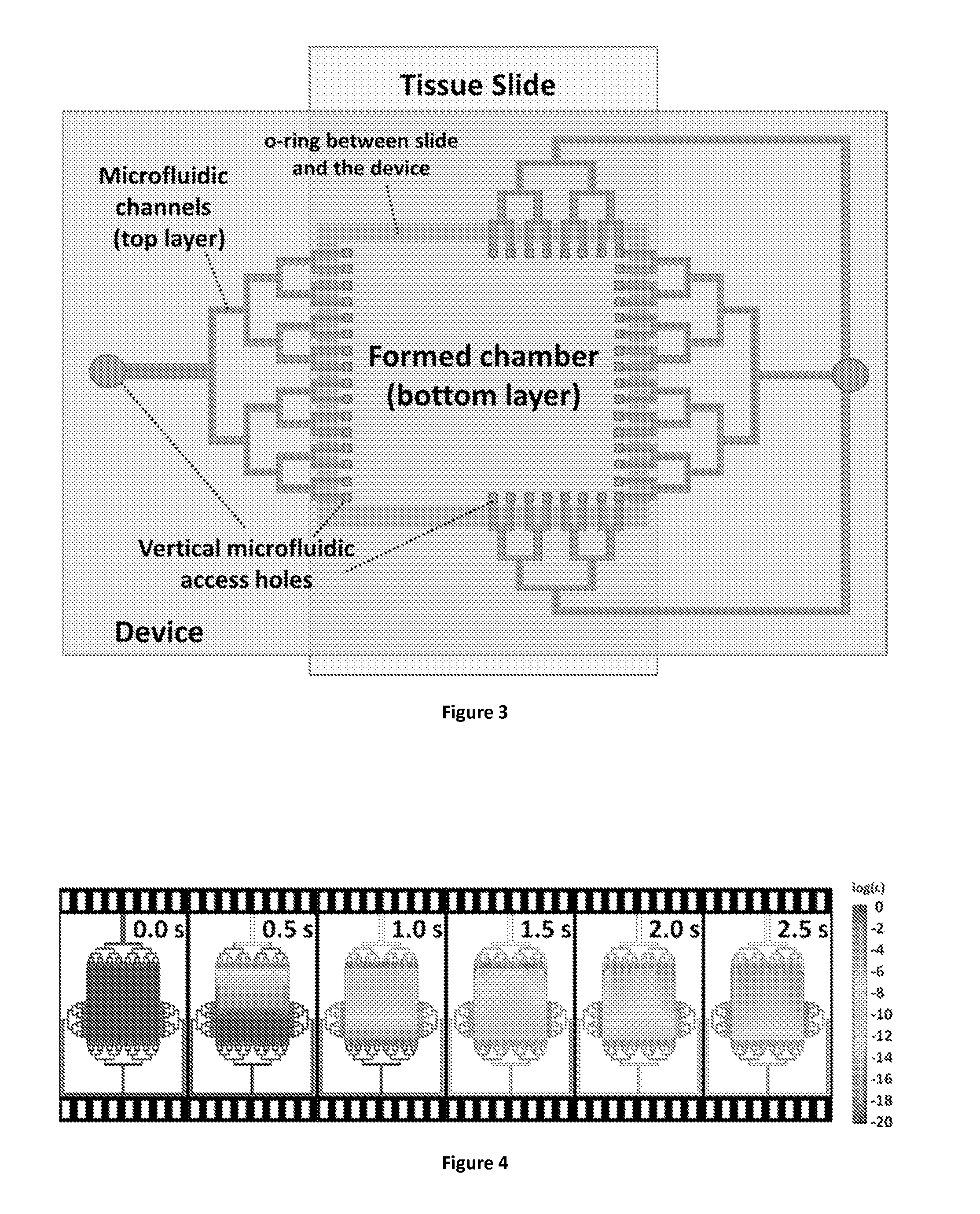 Sample processing device with detachable slide