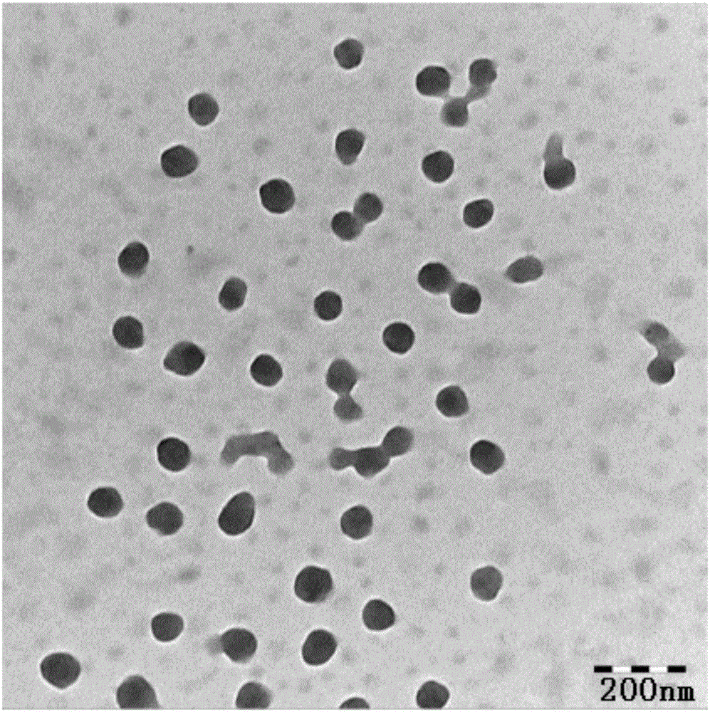 Albumin nanoparticles realizing co-delivery of antitumor drug and MRI (magnetic resonance imaging) contrast medium and preparation method of albumin nanoparticles