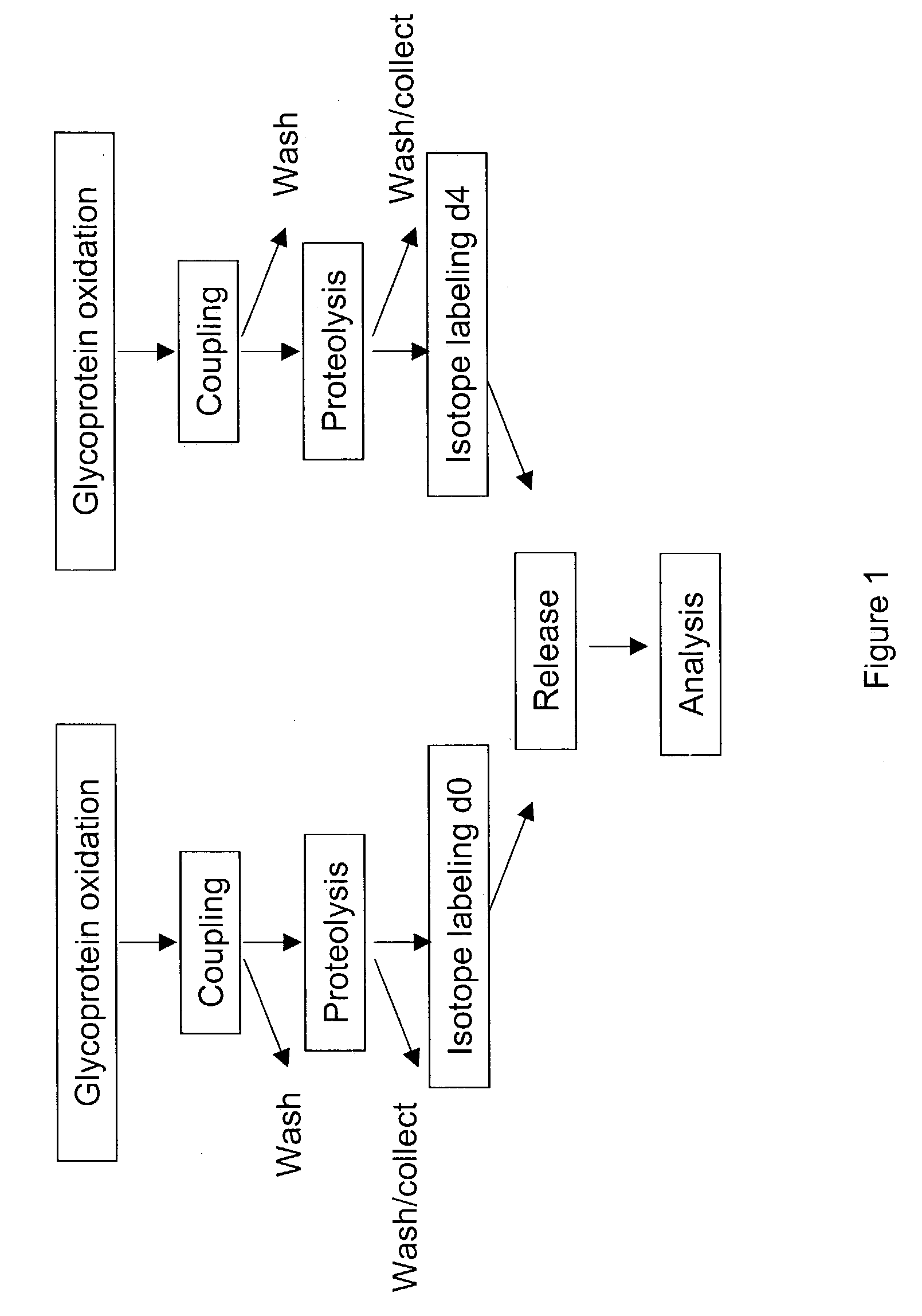Methods for quantitative proteome analysis of glycoproteins