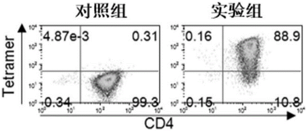 Lentiviral expression vector, as well as preparation method and application of lentiviral expression vector, and preparation method of recombinant lentivirus