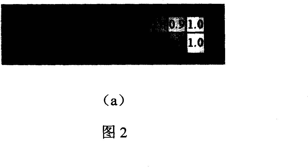 Correcting method and device for video frequency gamma property