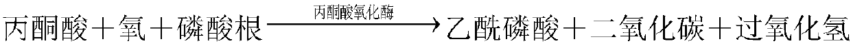 Method and measurement kit for measuring homocysteine by a cystathionine beta-synthase, a cystathionine beta-catabolic enzyme, and coupled pyruvic oxidase