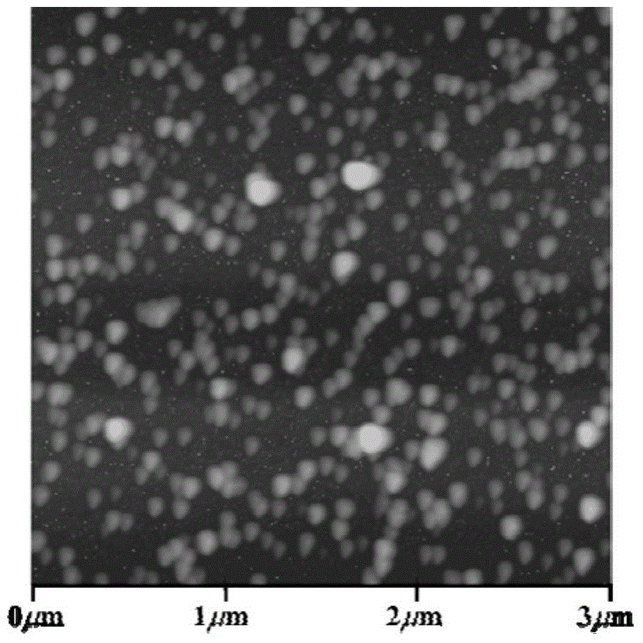 Rubimaillin/chitosan nanoparticle, and preparation method and application thereof