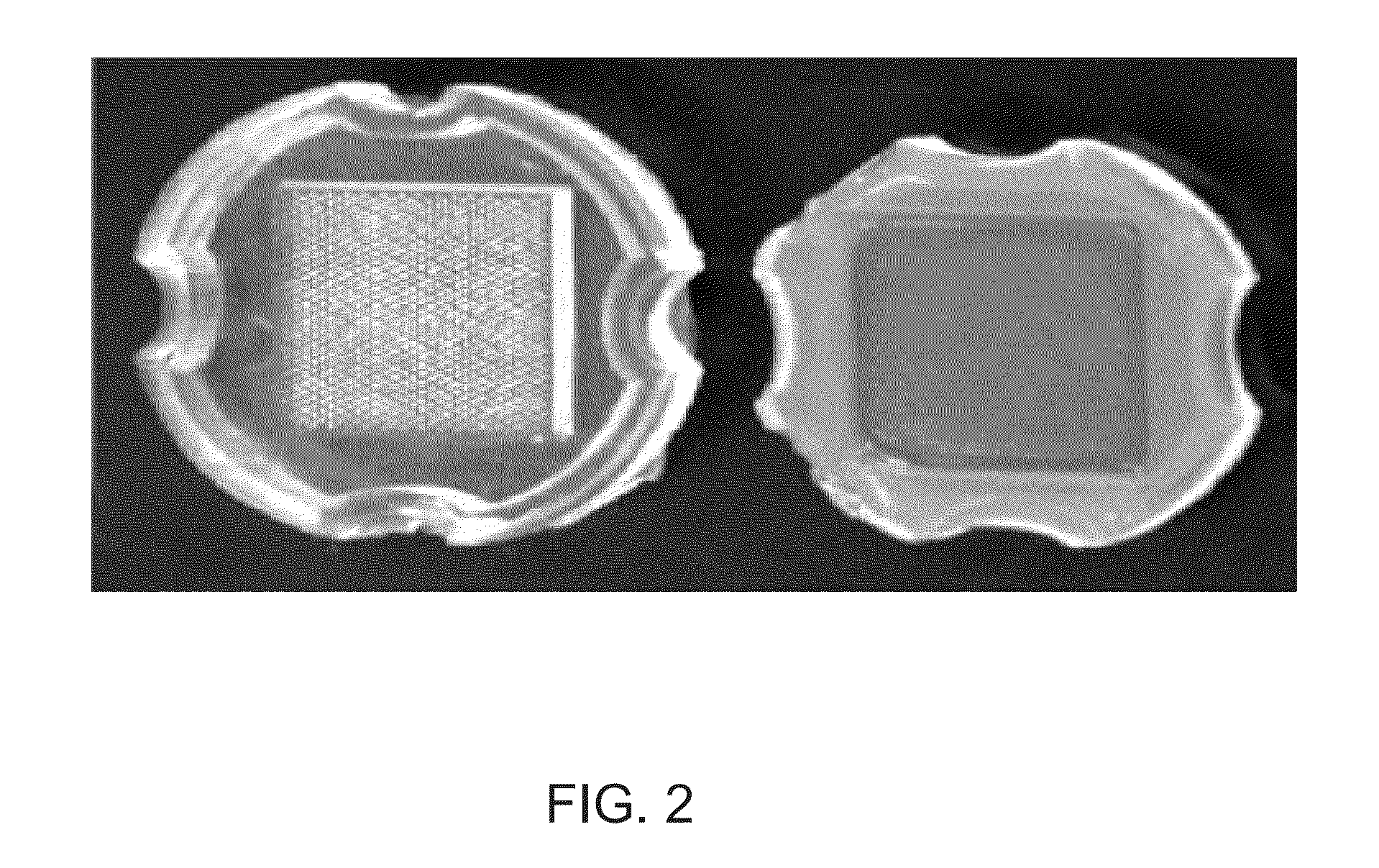 De Novo Anembryonic Trophoblast Vesicles and Methods of Making and Using Them