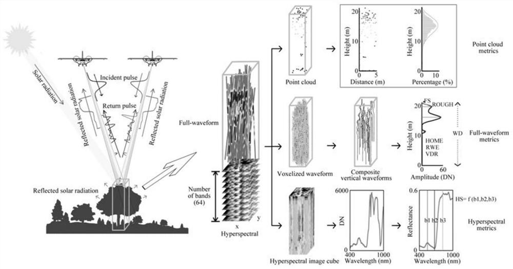 A method for joint retrieval of forest structure parameters from full-waveform LiDAR and hyperspectral data