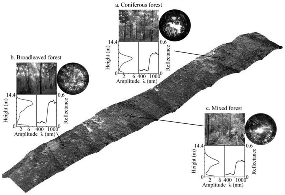 A method for joint retrieval of forest structure parameters from full-waveform LiDAR and hyperspectral data
