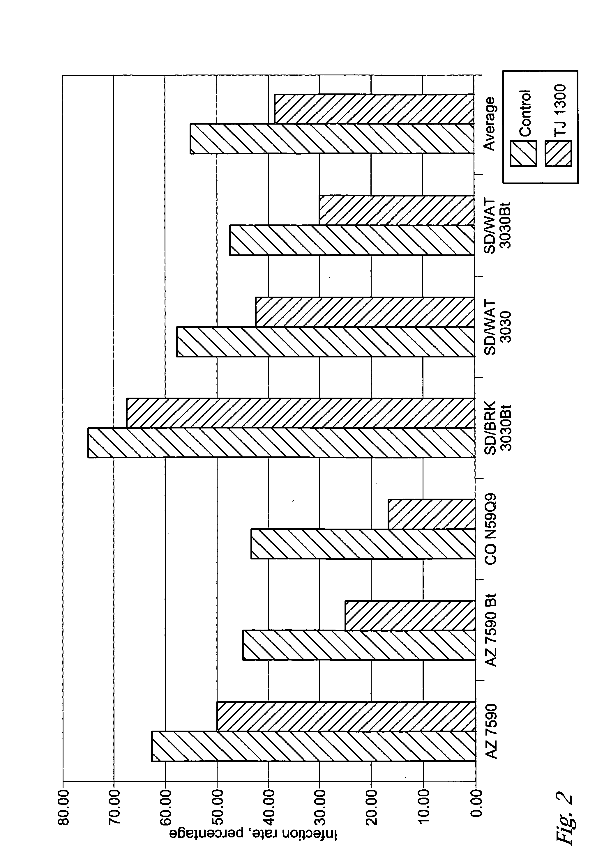 Plant seed assemblies comprising fungal/ bacterial antagonists
