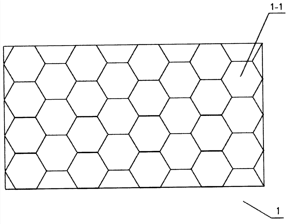 Honeycomb type solar energy collecting device