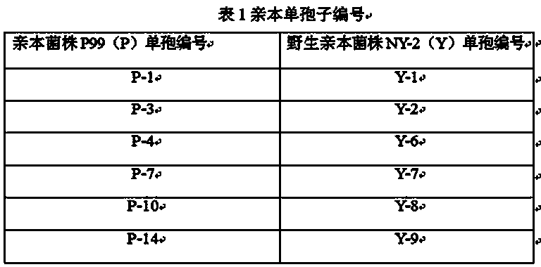 Breeding method and cultivation method for industrialized bottle-planted oyster mushroom varieties