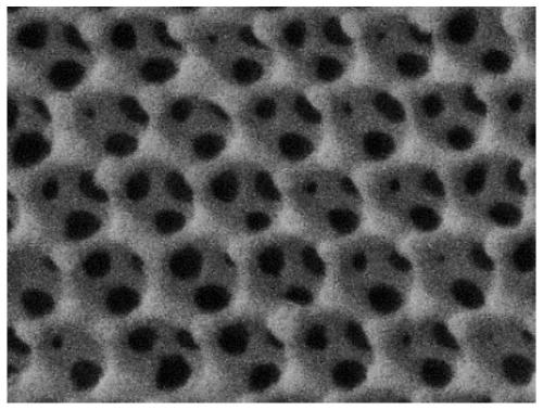 Preparation method of drug-loaded microspheres with tumor microenvironment responsiveness