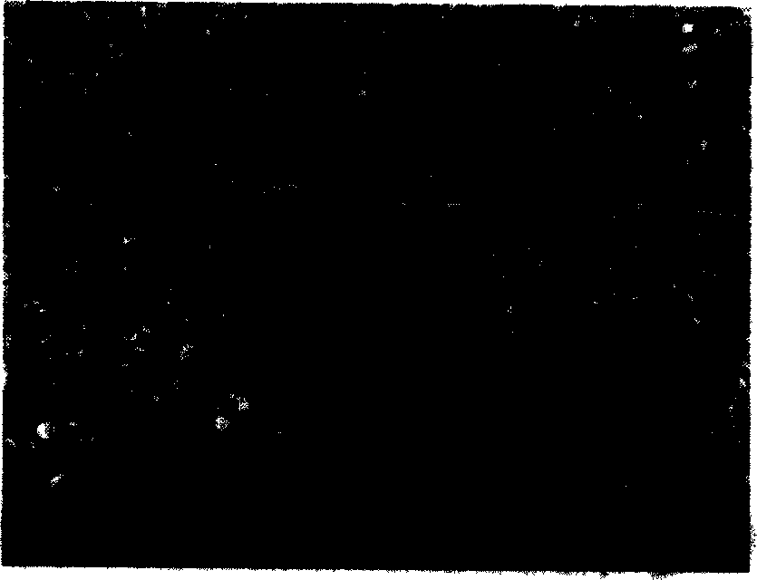 Dibismuth trioxide enveloped ceramic phase reinforced aluminium base composite material