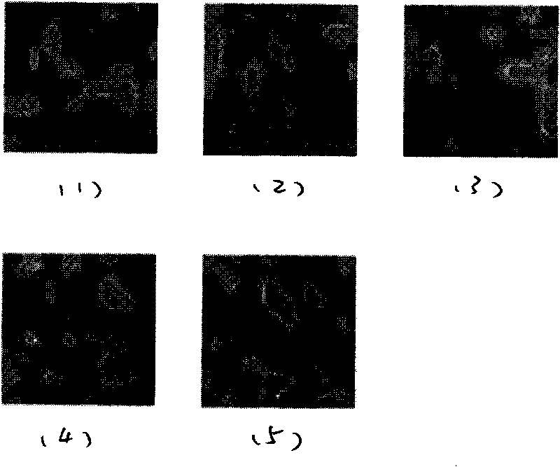 Hyperspectral unmixing method for estimating regularized parameter automatically