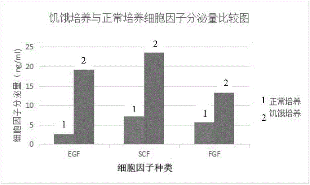 Externally used gel preparation containing human umbilical cord mesenchymal stem cell extract as well as preparation method and application of externally used gel preparation