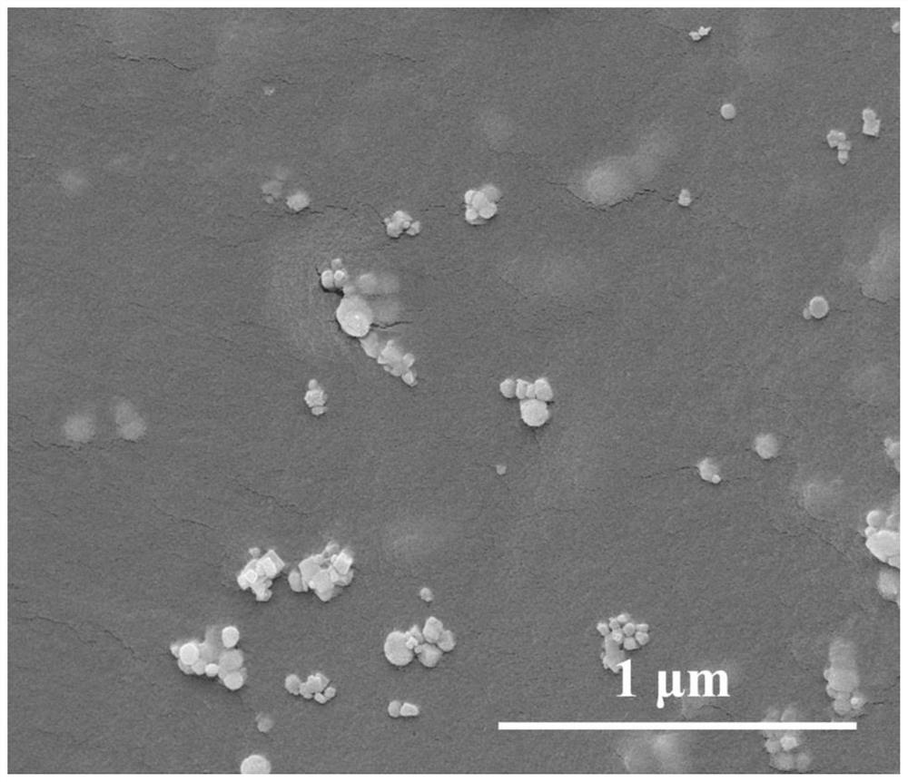 Preparation method of magnetic super-hydrophobic starch-based aerogel for oil-water separation