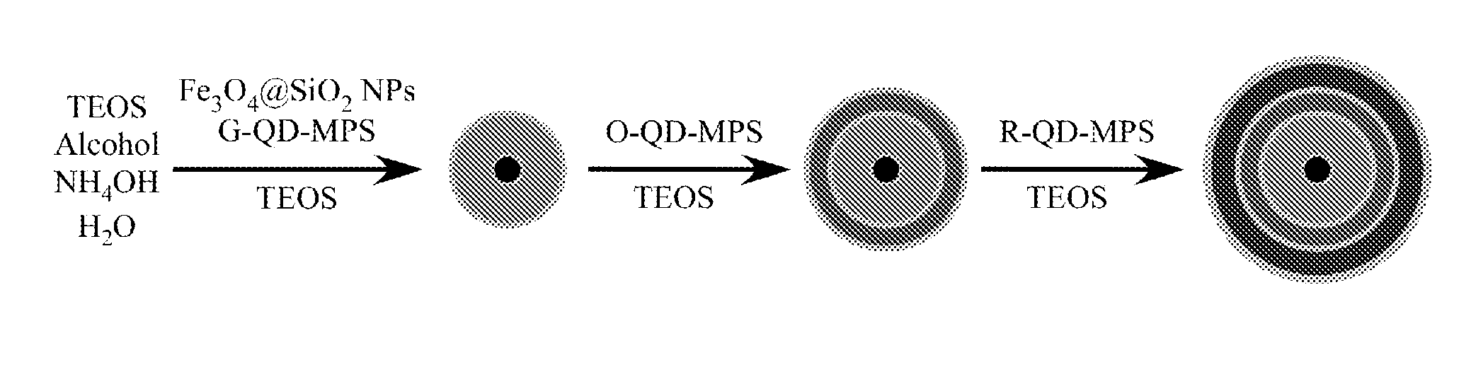 Quantum Dot Barcode Structures and Uses Thereof