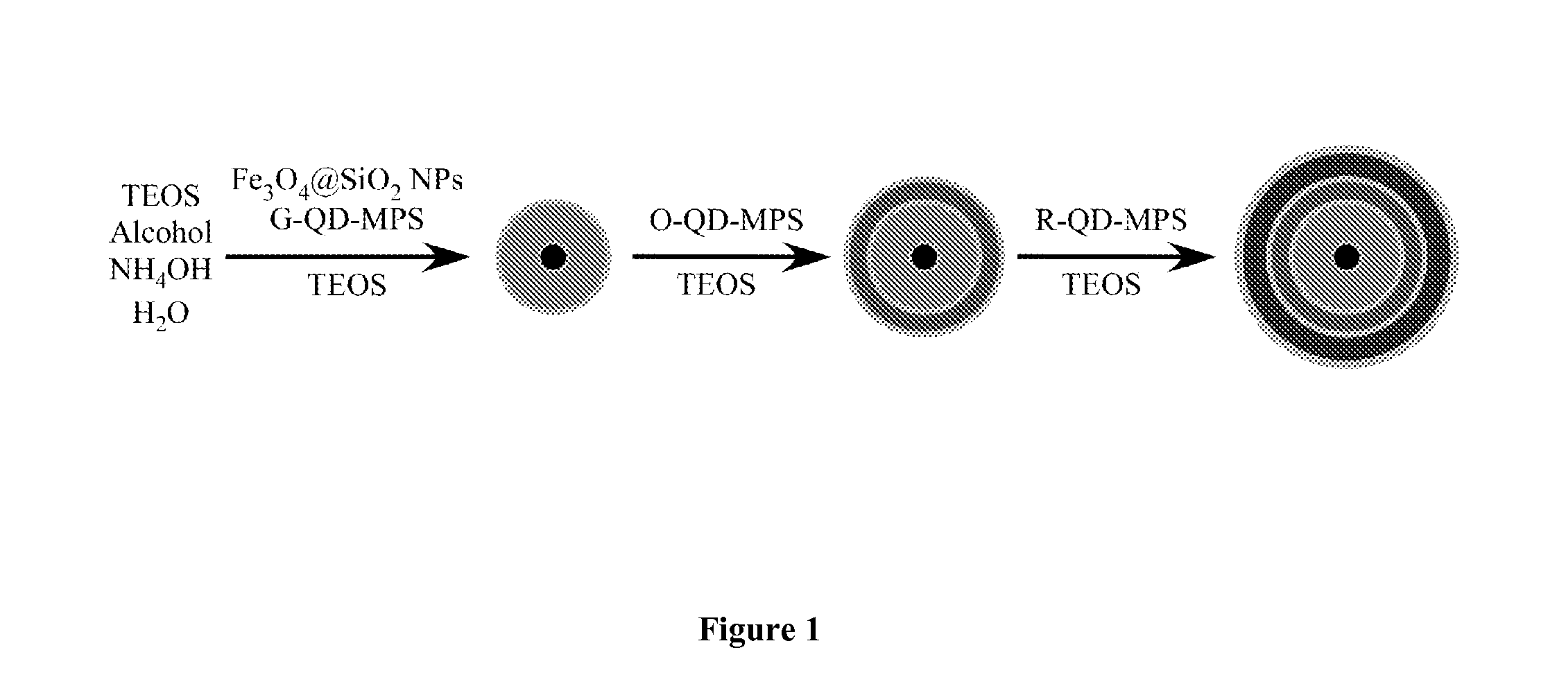 Quantum Dot Barcode Structures and Uses Thereof