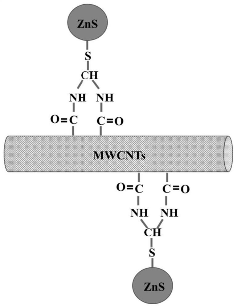 Zinc sulfide and carbon nanotube covalent coupling composite material and preparation method and application thereof