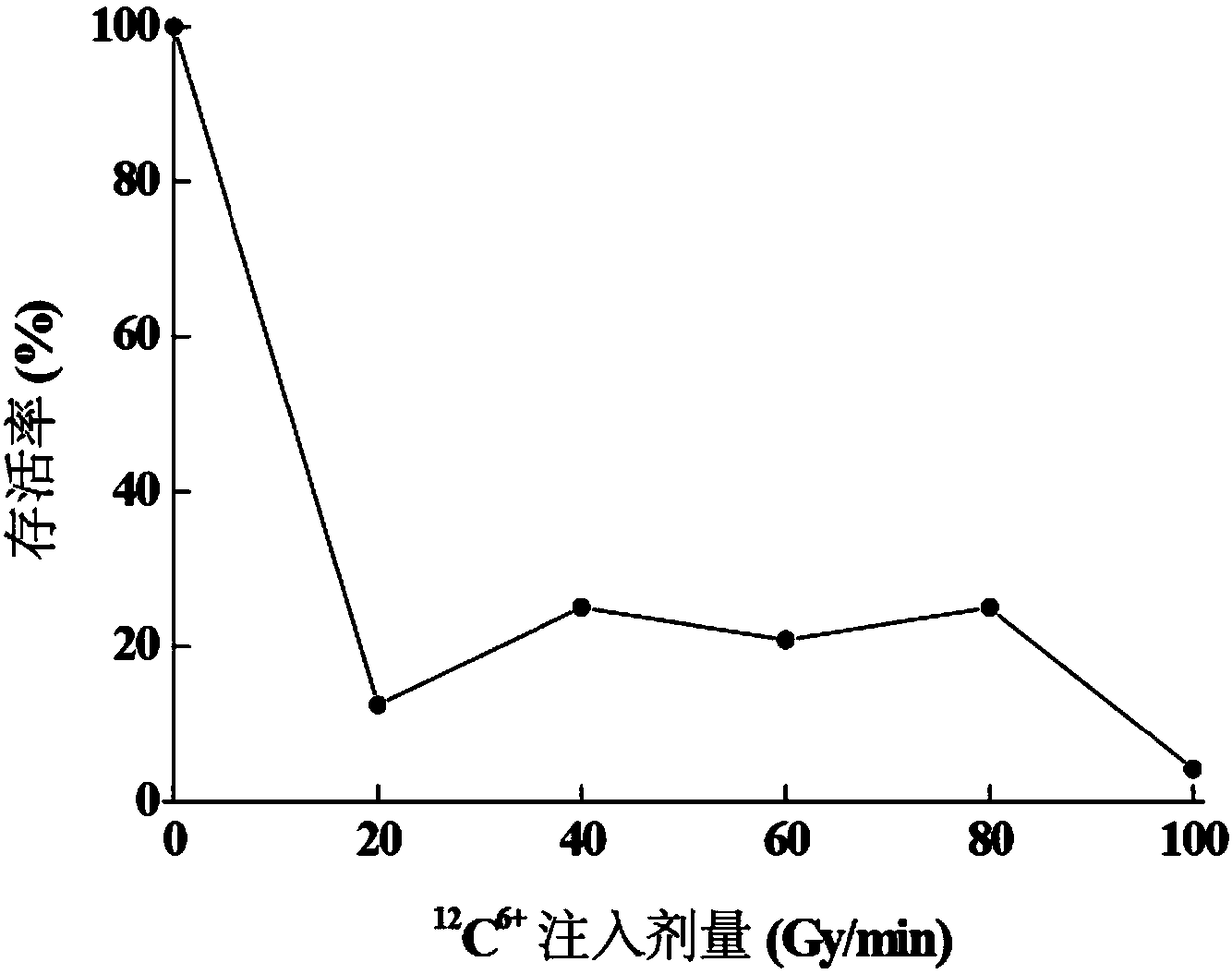 Cordyceps militaris mutant strain for obtaining high-yield cordycepin and application of cordyceps militaris mutant strain